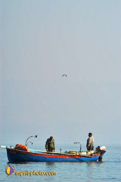 Nom de l'image : D1199128-1 — Description :  Voyage en Terre Sainte avec Jeunesse Lumière