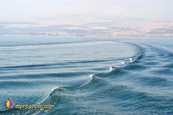 Nom de l'image : D1199211-1 — Description :  Voyage en Terre Sainte avec Jeunesse Lumière
