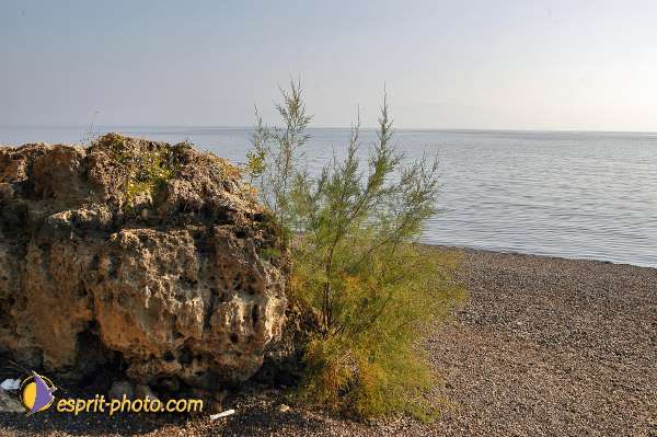 Nom de l'image : E00022560-1 — Description :