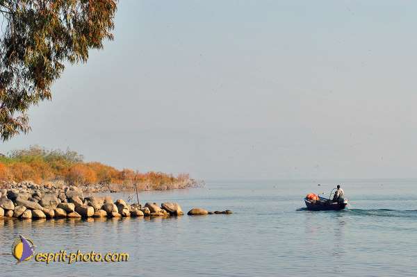 Nom de l'image : E00022655-1 — Description :