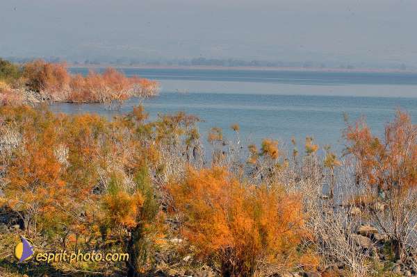 Nom de l'image : E00022714-1 — Description :