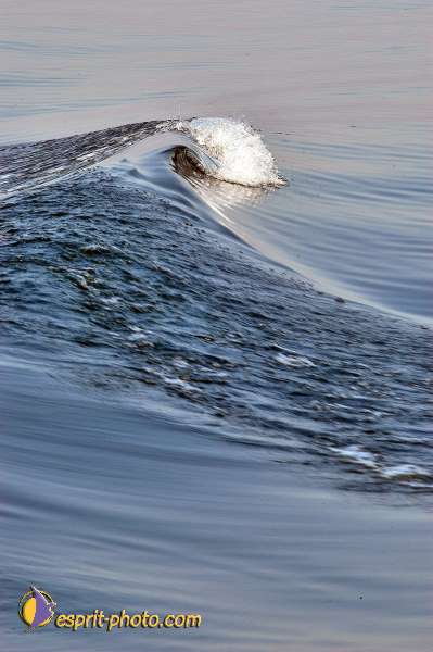 Nom de l'image : E00022791-1 — Description :