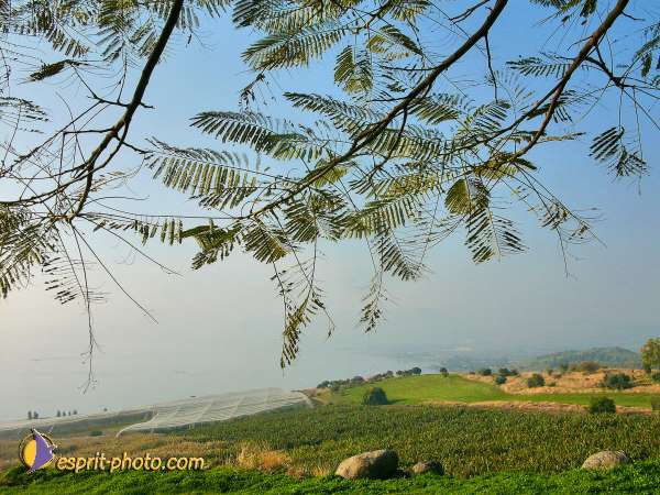 Nom de l'image : L1020300-1 — Description :  Voyage en Terre Sainte avec Jeunesse Lumière