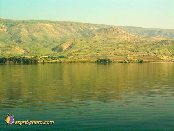 Nom de l'image : L1020656-1 — Description :  Voyage en Terre Sainte avec Jeunesse Lumière