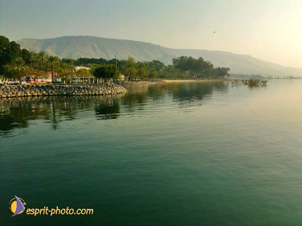 Nom de l'image : L1020689-1 — Description :  Voyage en Terre Sainte avec Jeunesse Lumière