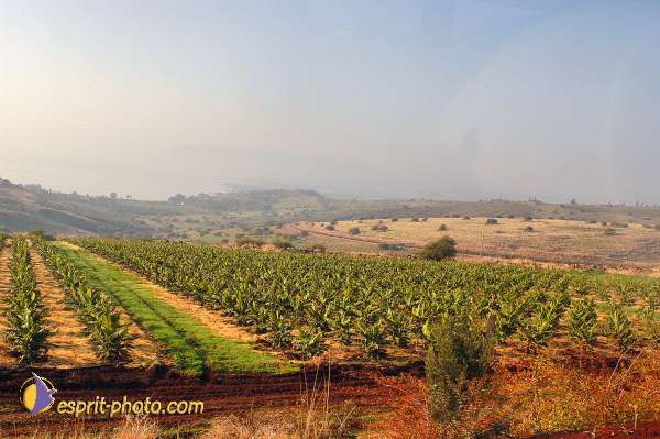 Nom de l'image : E00022178-1 — Description :