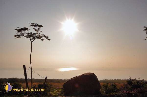 Nom de l'image : E00022202-1 — Description :