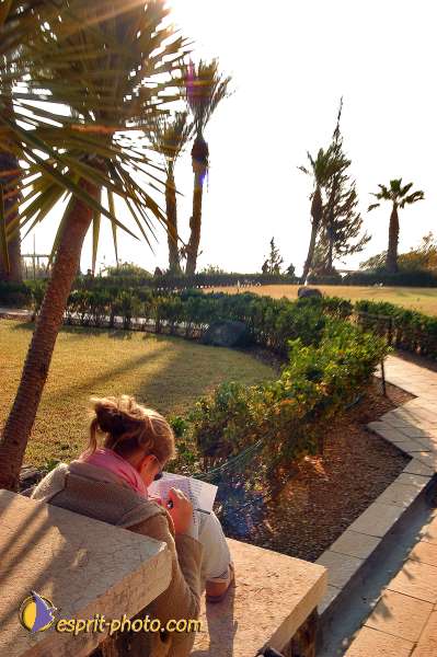 Nom de l'image : E00022212-1 — Description :