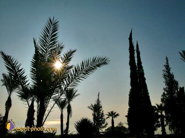 Nom de l'image : L1020290-1 — Description :  Voyage en Terre Sainte avec Jeunesse Lumière