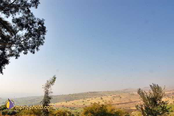 Nom de l'image : E00022440-1 — Description :