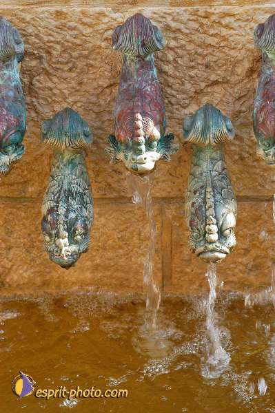 Nom de l'image : D1198695-1 — Description :  Voyage en Terre Sainte avec Jeunesse Lumière