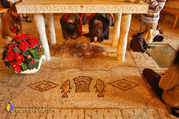 Nom de l'image : D1198801-1 — Description :  Voyage en Terre Sainte avec Jeunesse Lumière