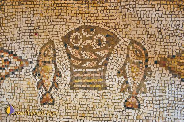 Nom de l'image : D1198809-1 — Description :  Voyage en Terre Sainte avec Jeunesse Lumière