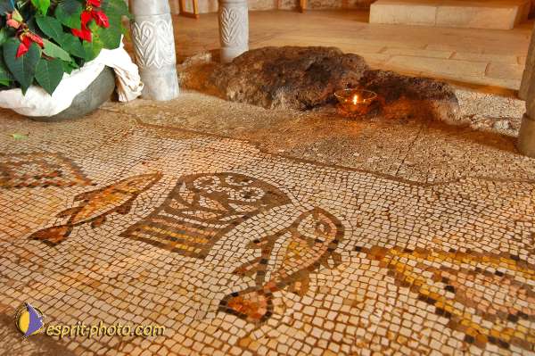 Nom de l'image : D1198825-1 — Description :  Voyage en Terre Sainte avec Jeunesse Lumière