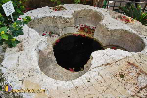 Nom de l'image : D1198848-1 — Description :  Voyage en Terre Sainte avec Jeunesse Lumière