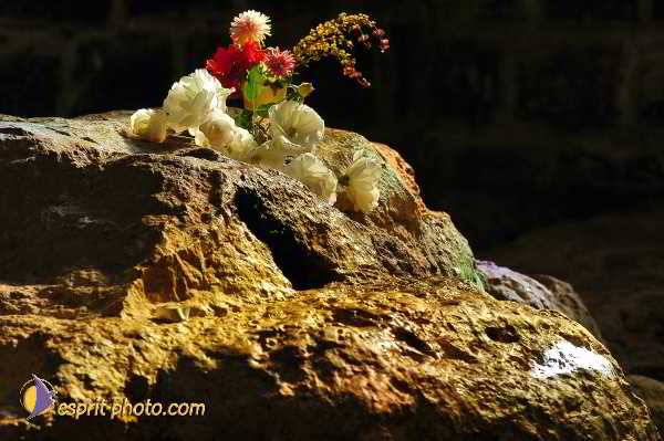 Nom de l'image : D1198880-1 — Description :  Voyage en Terre Sainte avec Jeunesse Lumière