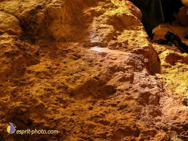 Nom de l'image : L1020495-1 — Description :  Voyage en Terre Sainte avec Jeunesse Lumière