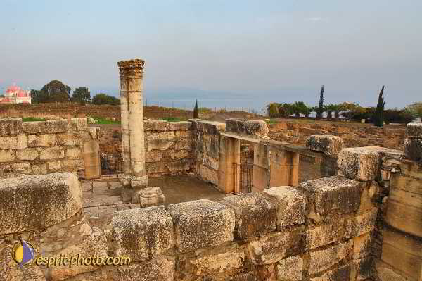 Nom de l'image : D1199504-1 — Description :  Voyage en Terre Sainte avec Jeunesse Lumière