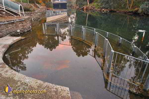 Nom de l'image : D1199547-1 — Description :  Voyage en Terre Sainte avec Jeunesse Lumière