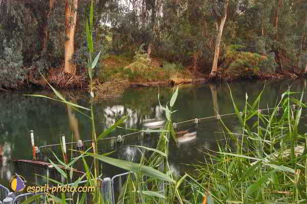 Nom de l'image : D1199549-1 — Description :  Voyage en Terre Sainte avec Jeunesse Lumière