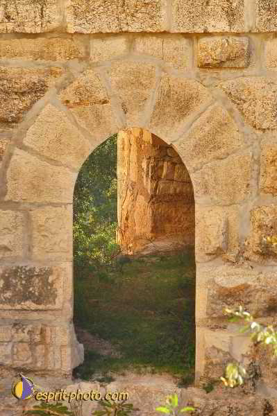 Nom de l'image : D1199777-1 — Description : Voyage en Terre Sainte avec Jeunesse Lumière