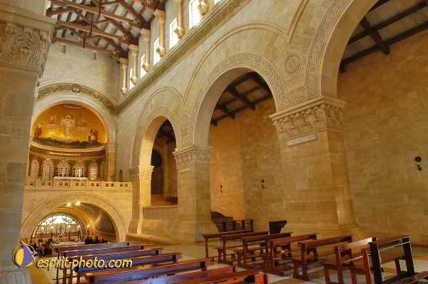 Nom de l'image : D1199790-1 — Description :  Voyage en Terre Sainte avec Jeunesse Lumière