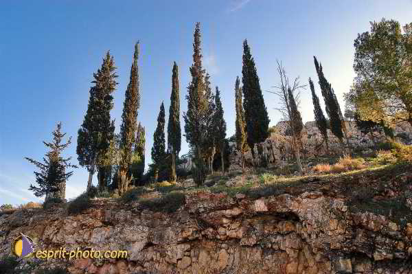 Nom de l'image : E00023065-1 — Description :