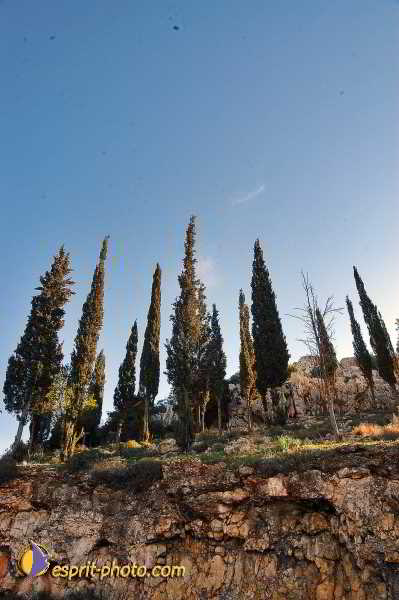 Nom de l'image : E00023066-1 — Description :