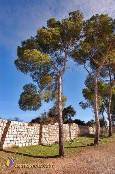 Nom de l'image : E00023146-1 — Description :