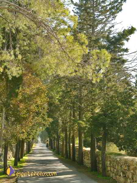 Nom de l'image : L1020799-1 — Description :  Voyage en Terre Sainte avec Jeunesse Lumière
