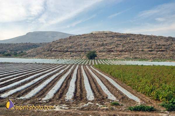 Nom de l'image : E00023390-1 — Description :