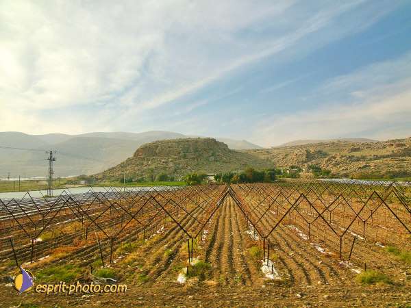 Nom de l'image : L1020972-1 — Description :  Voyage en Terre Sainte avec Jeunesse Lumière