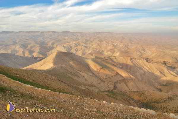 Nom de l'image : D1199897-1 — Description :  Voyage en Terre Sainte avec Jeunesse Lumière