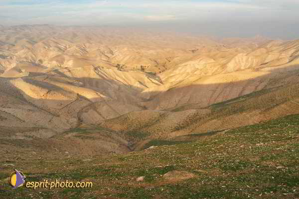 Nom de l'image : D1199905-1 — Description :  Voyage en Terre Sainte avec Jeunesse Lumière