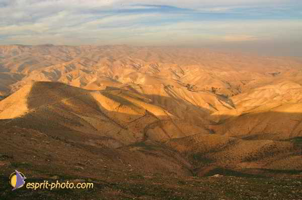 Nom de l'image : D1199911-1 — Description :  Voyage en Terre Sainte avec Jeunesse Lumière