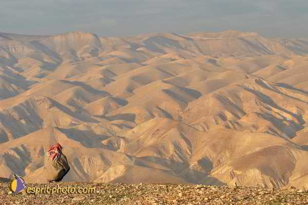 Nom de l'image : D1200032-1 — Description :  Voyage en Terre Sainte avec Jeunesse Lumière