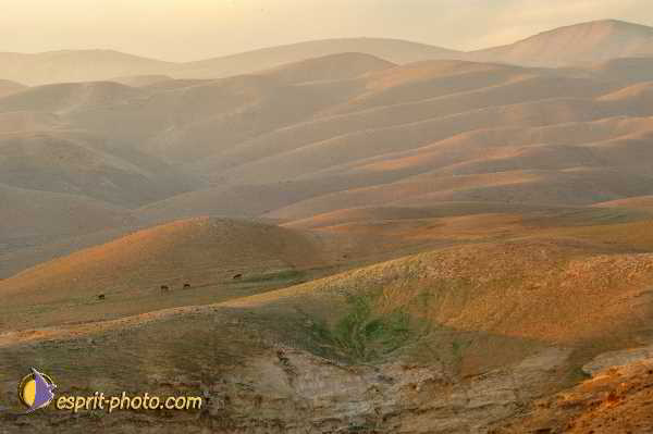 Nom de l'image : D1200338-1 — Description :  Voyage en Terre Sainte avec Jeunesse Lumière