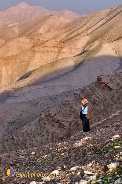 Nom de l'image : E00023558-1 — Description :