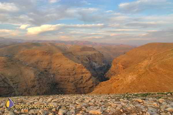 Nom de l'image : D1200383-1 — Description :  Voyage en Terre Sainte avec Jeunesse Lumière