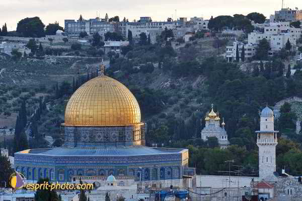 Nom de l'image : D1200568-1 — Description :  Voyage en Terre Sainte avec Jeunesse Lumière