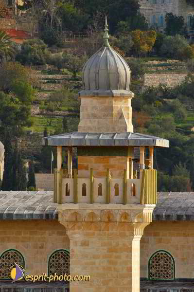 Nom de l'image : D1200646-1 — Description :  Voyage en Terre Sainte avec Jeunesse Lumière