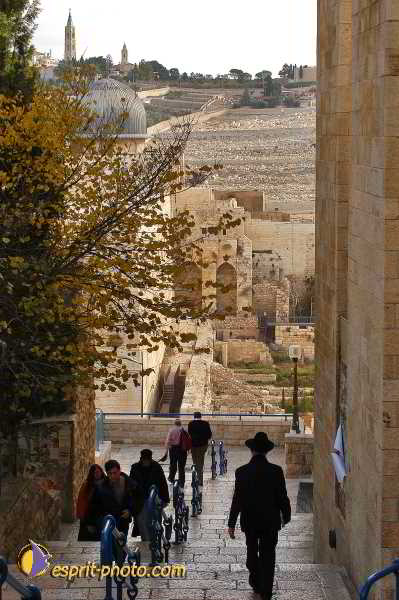 Nom de l'image : D1200647-1 — Description :  Voyage en Terre Sainte avec Jeunesse Lumière