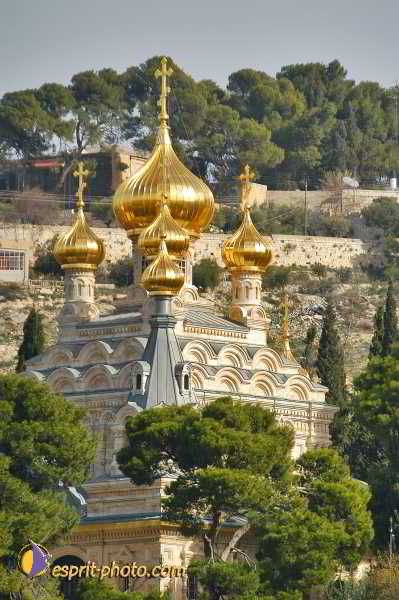 Nom de l'image : D1200831-1 — Description :  Voyage en Terre Sainte avec Jeunesse Lumière