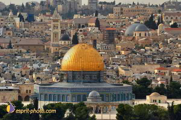 Nom de l'image : D1201006-1 — Description :  Voyage en Terre Sainte avec Jeunesse Lumière