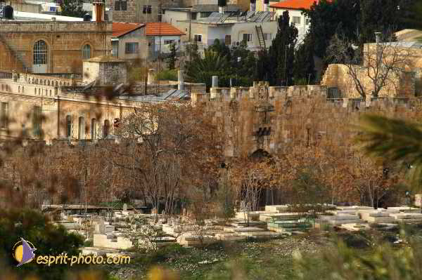 Nom de l'image : D1201012-1 — Description :  Voyage en Terre Sainte avec Jeunesse Lumière