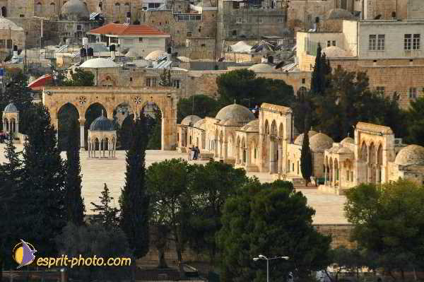 Nom de l'image : D1201013-1 — Description :  Voyage en Terre Sainte avec Jeunesse Lumière