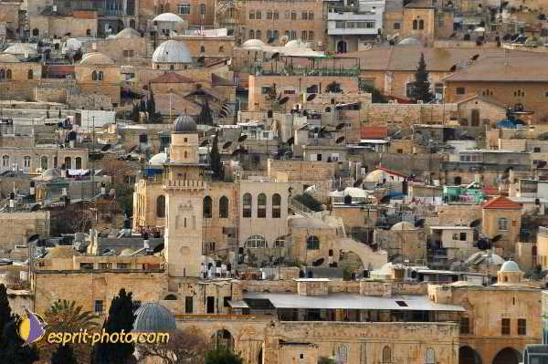 Nom de l'image : D1201014-1 — Description :  Voyage en Terre Sainte avec Jeunesse Lumière