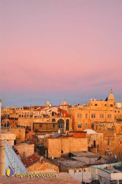 Nom de l'image : D1201332-1 — Description :  Voyage en Terre Sainte avec Jeunesse Lumière