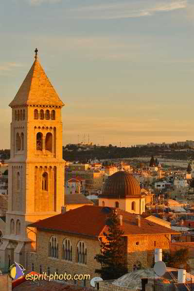 Nom de l'image : D1201399-1 — Description :  Voyage en Terre Sainte avec Jeunesse Lumière