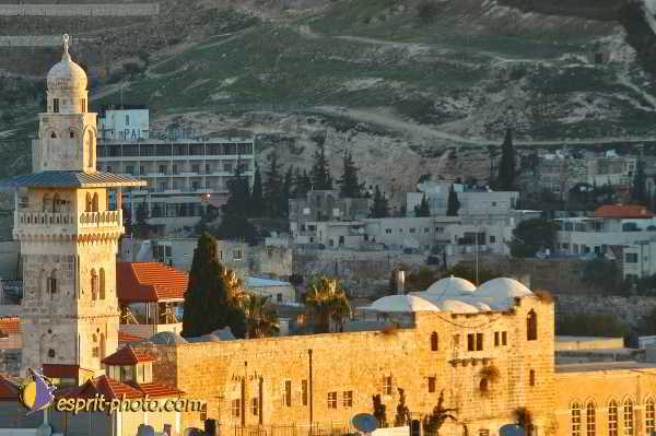 Nom de l'image : D1201429-1 — Description :  Voyage en Terre Sainte avec Jeunesse Lumière